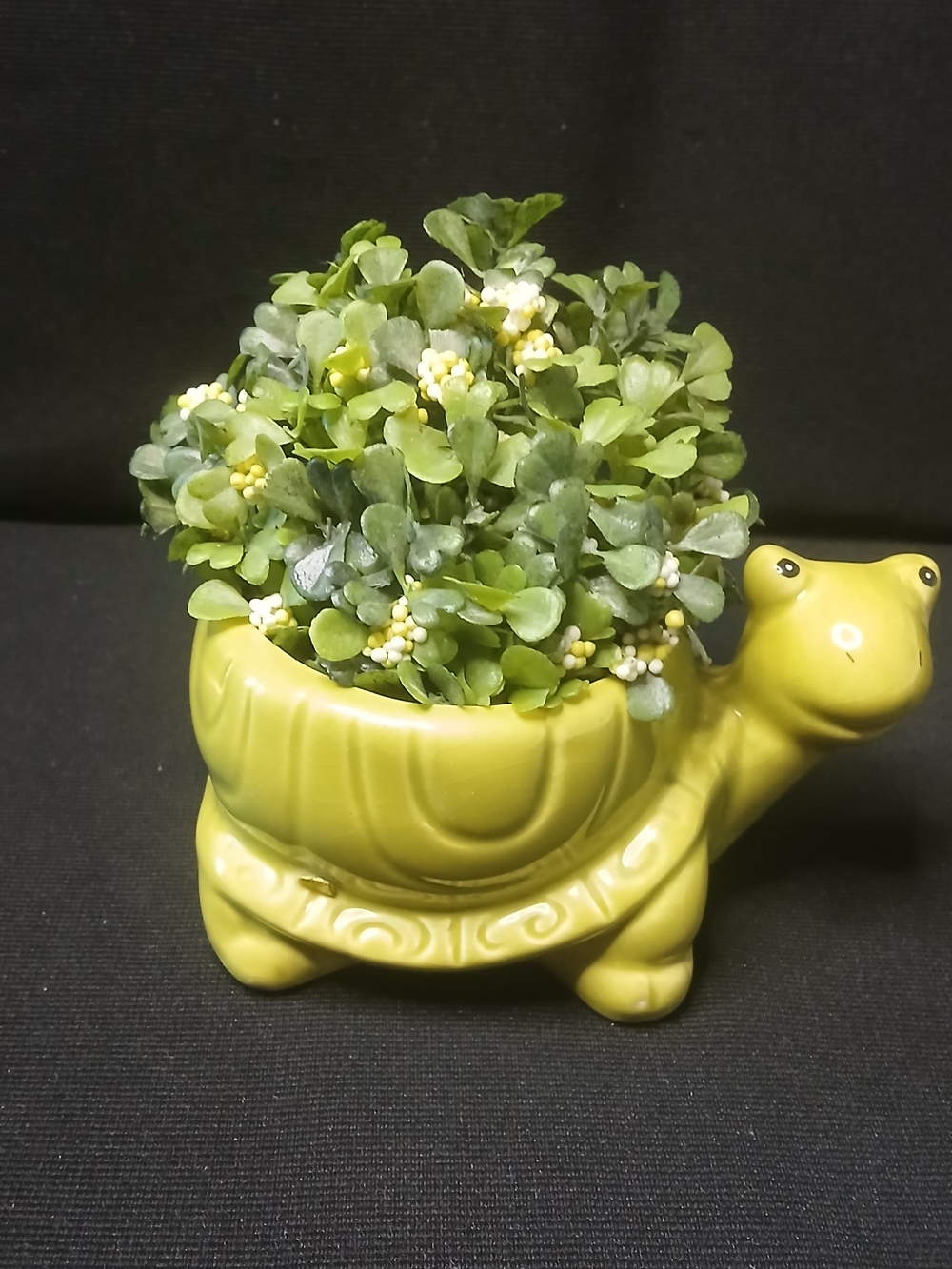 Lime Green Turtle Ceramic Planter for Succulents